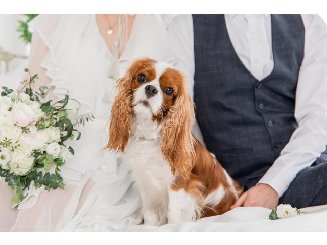 オリジナルウエディングのご提案