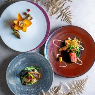 前菜・メインディッシュ・デザート4品4万円相当の贅沢試食