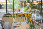 The TERRACE