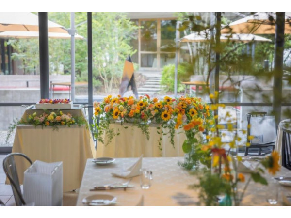 The TERRACE