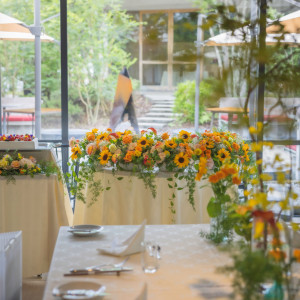 ・|The TERRACEの写真(50455201)
