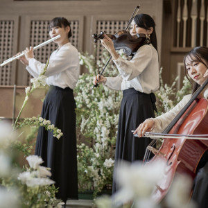 .|OPERAHOUSE 東京の写真(56394893)