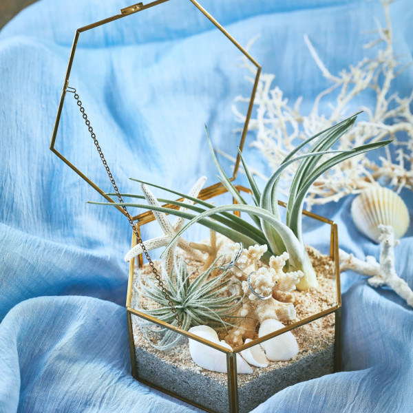 季節に合わせたコーディネートも実現可能|HOMAM 旧マッケンジー邸(国登録有形文化財)の写真(53173665)