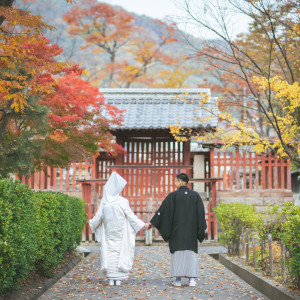 善光寺本堂裏にも撮影スポットがあります|善光寺 大勧進の写真(47300831)