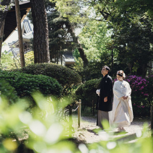 庭園での撮影も楽しんでいただけます|善光寺 大勧進の写真(48211482)