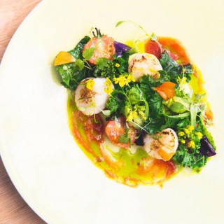 〈料理重視〉大自然WD体験&豪華試食*最大50万特典&アマギフ5千円付