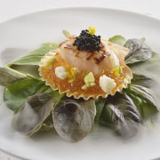 International cuisine subzero（サブゼロ）