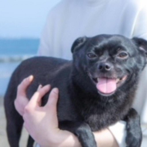 International cuisine subzero（サブゼロ）