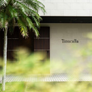 Tinucalla / ティヌカーラ