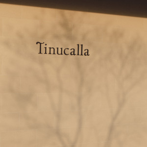 日常から一歩、夢のような時間へ。|Tinucallaの写真(52461254)