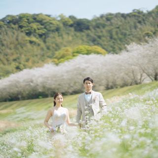 お写真だけの結婚式！フォトウエディングプラン相談会♪