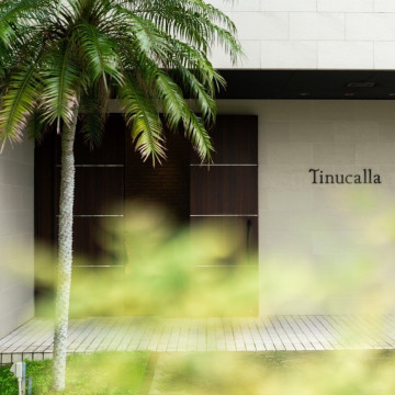 Tinucalla