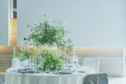 WeGreen RESORT