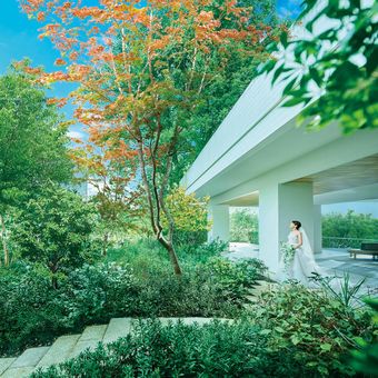 WeGreen RESORT