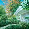 WeGreen RESORT