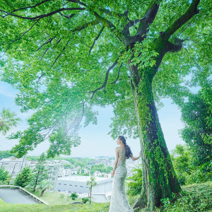 ここでしか体験できない感動をご新郎ご新婦やゲストの皆様に提供いたします。|WeGreen RESORTの写真(49413666)
