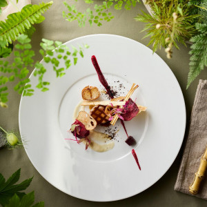 オープン記念*30大特典×4万宿泊★緑溢れるNEW会場＆5品コース試食