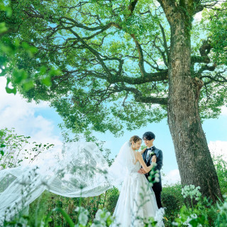 年末年始休業中に予約された方は、お年玉★総額より5万円OFF付き