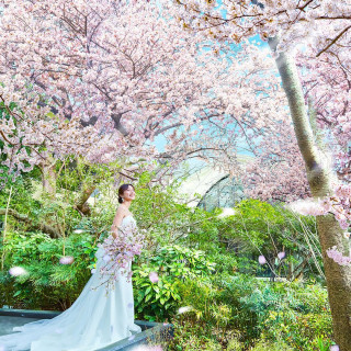 最大180万円特典《口コミ評価1位》緑溢れるNEW会場×ドレス試着体験