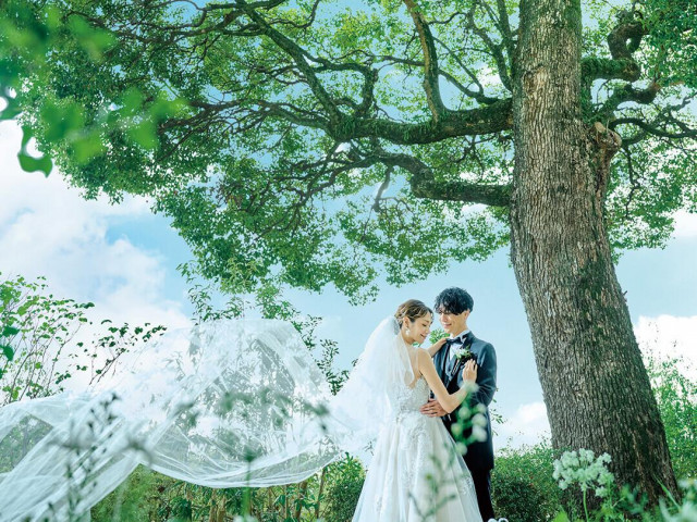 1軒目見学がオススメ★オープン記念♪7大特典キャンペーン実施中！