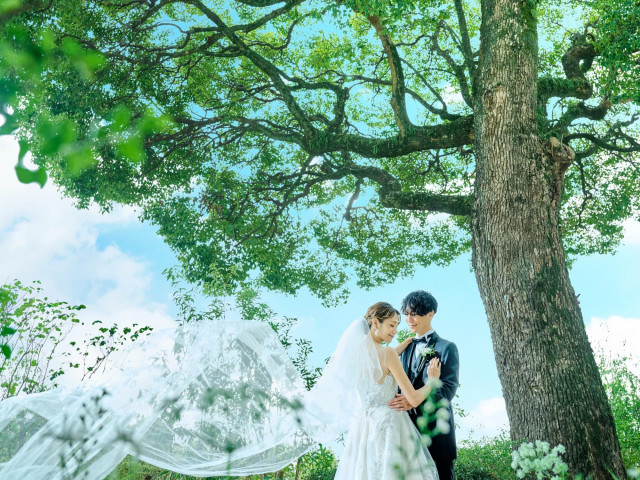 《オープン記念特典》最大180万相当7大特典キャンペーン実施中！