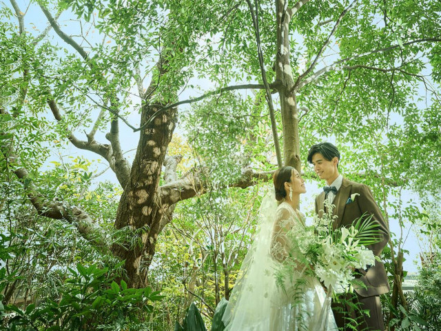 【会場が直接見れないから】オンラインフェア限定プランもご用意