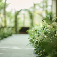 WeGreen RESORT