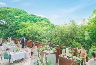 WeGreen RESORT