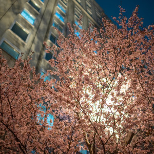 ホテルモントレエーデルホフ札幌の写真(49067972)