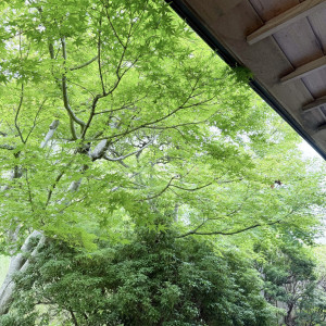 茶室から望む青もみじの景色。|グランドニッコー淡路の写真(50902655)