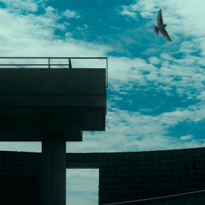 澄んだ空へ羽ばたく一羽の鳥も、おふたりを祝福|グランドニッコー淡路の写真(51861436)