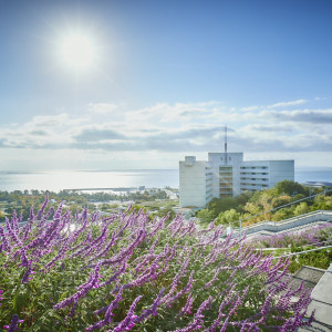 色鮮やかな花々と海のきらめきが調和する百段苑|グランドニッコー淡路の写真(53464905)