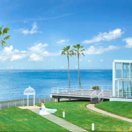 \リニューアル*最大149万優待/海のチャペル×特選牛試食