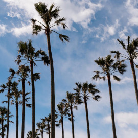 当日予約OK!【90分完結】タイパ重視の方に◎