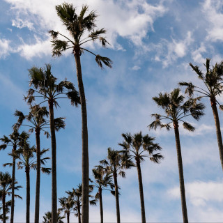 当日予約OK【90分完結】タイパ重視のカップル向け会場相談フェア