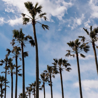 当日予約もOK！【90分完結】タイパ重視の方に◎