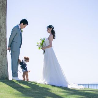 【平日限定|ペット婚】愛犬と叶える絶景ウェディング相談会