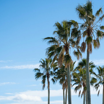 【鎌倉駅or逗子駅⇔当館まで】往復タクシー送迎!お車でお越しのおふたりには駐車場を無料でご案内!