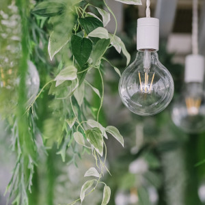 天井にも緑がいっぱいです！|TSUMUGU HOUSE FOREST WEDDINGの写真(53054652)