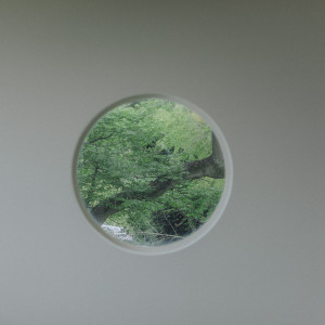 MAYA DRIVEの写真(52068011)