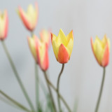 【HP限定★ご成約特典】”ベストレート保証”公式HPからのフェア予約がお得♪