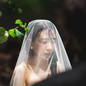 CRAZY GRANDE MAISONの写真(53904424)