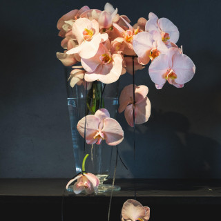 【10ヶ月以内】オープン記念プラン ＊70名様以上