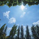 ■提携旅行会社 割引券プレゼント