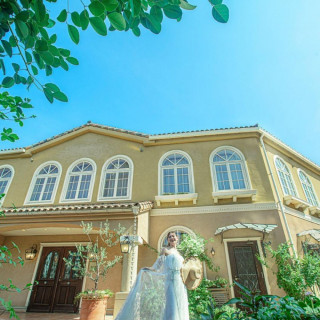 年末年始BIG★Amazon券1万&120万特典 チャペル模擬式＆試食