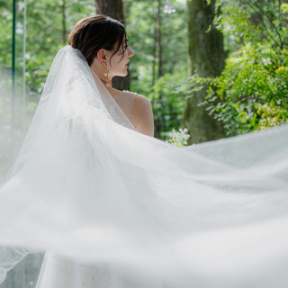 白と緑のコントラストが美しい