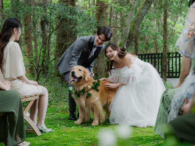 【ワンちゃん婚】<愛犬も同伴見学OK>リングドッグ体験＆会場案内