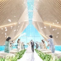 THE SURF BEACHSIDE TERRACE