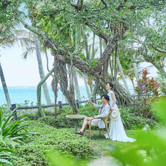 海と緑を両方楽しめるフォトウエディングに最適な場所。