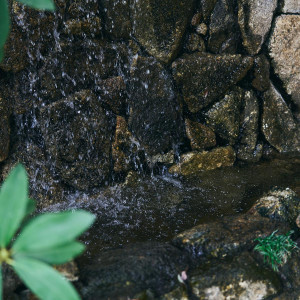 飯田橋にありながら、自然を感じる|東京大神宮の写真(56140631)